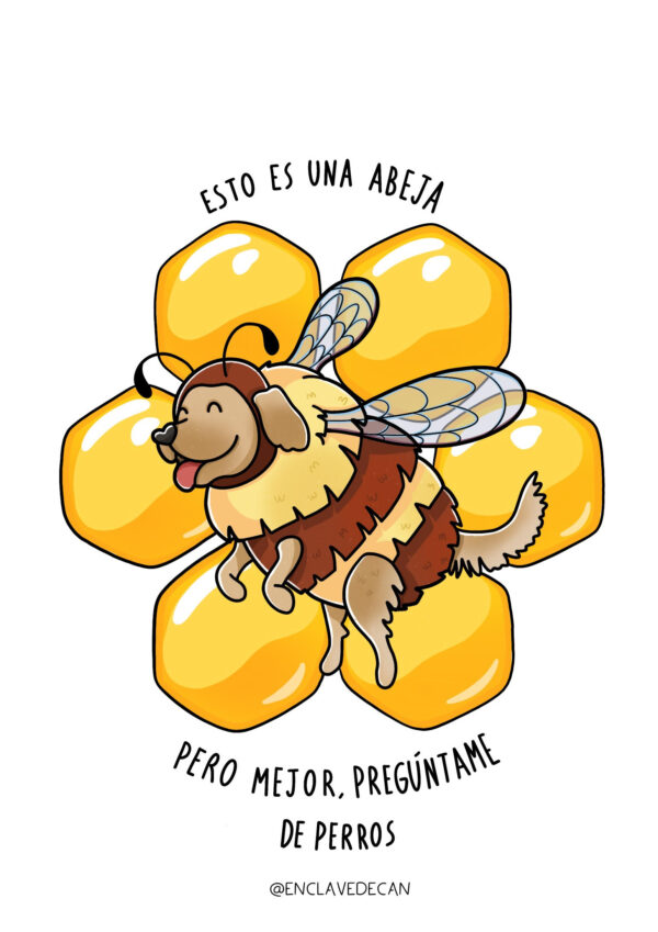 OFERTA HISTÓRICA 2024