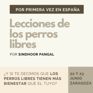 Lecciones de los perros libres y su relación con el bienestar - Entrada